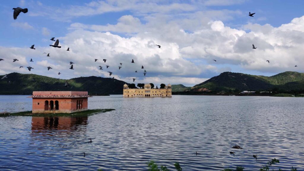 News Portal Development Company in Jaipur