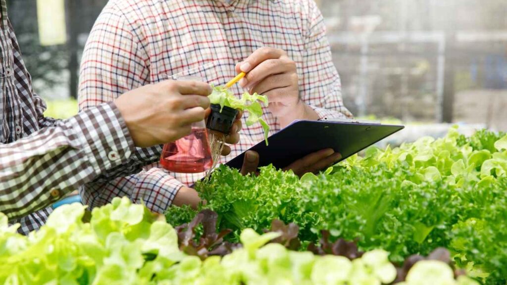 Best Agricultural Business Ideas 