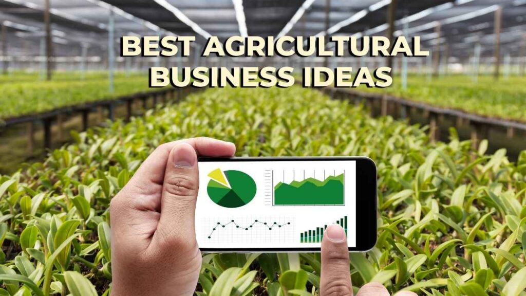Best Agricultural Business Ideas