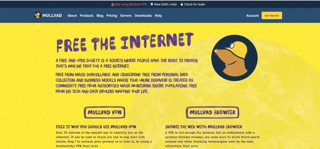 Mullvad VPN- VPNs for TikTok