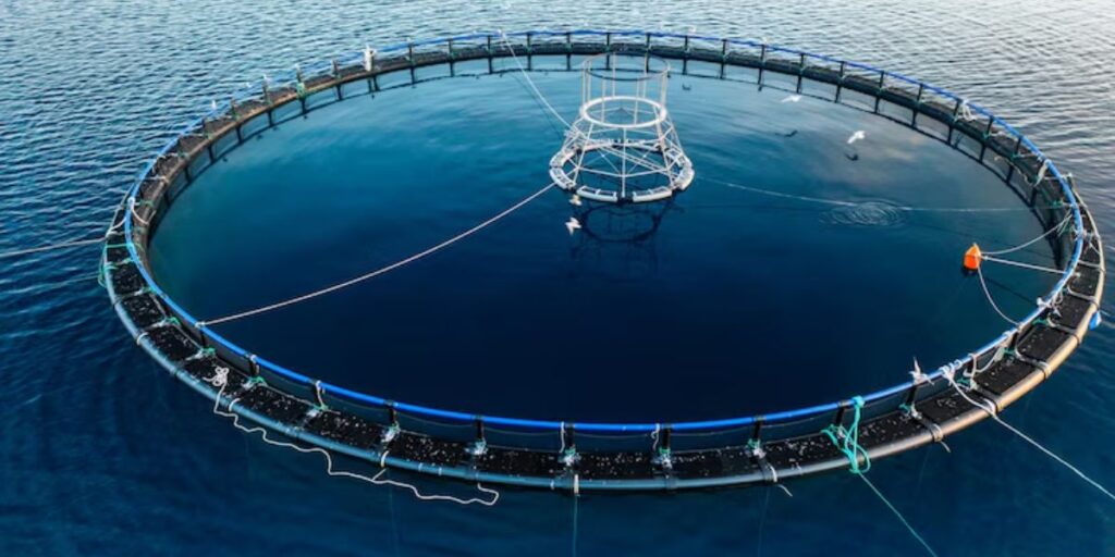Business Ideas in Assam - Fish Farming (Aquaculture)