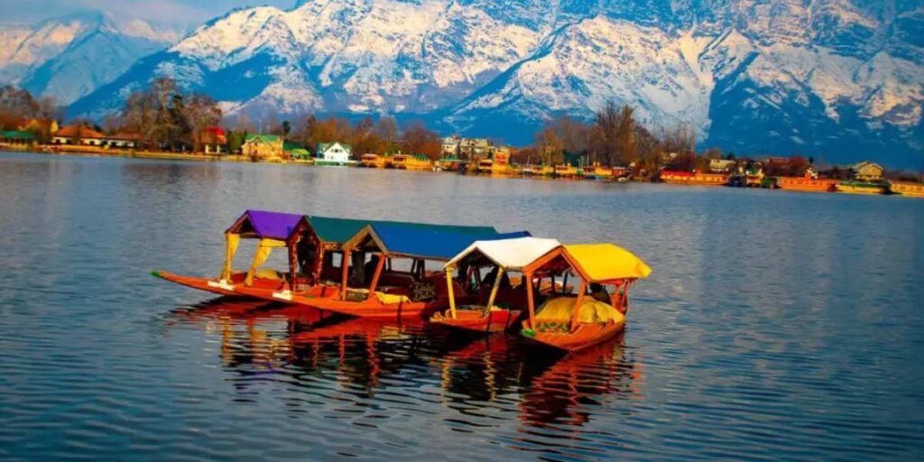 Business Ideas in Kashmir