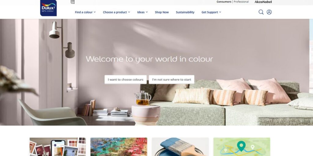 Paint Companies in India