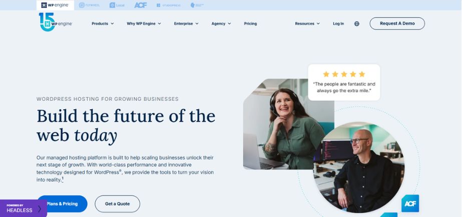 Best Hosting for High-Traffic Websites - wpengine