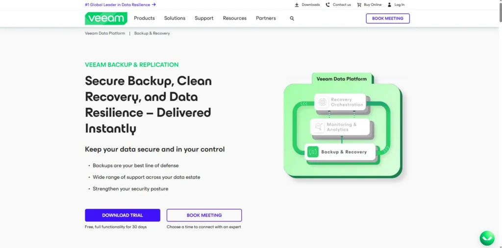 Veeam BackMonthly Billingup & Replication-Cloud Backup Tools