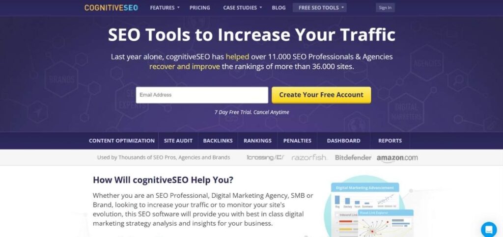 SEO Optimization Tools