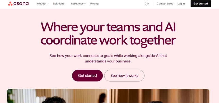 Gantt chart software - asana