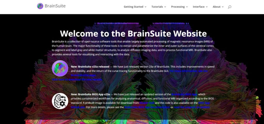 Brainsuite-AI for Market Research 