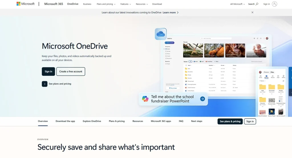 Microsoft OneDrive for Business-Cloud Backup Services