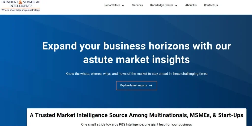 Market Research Companies in Noida