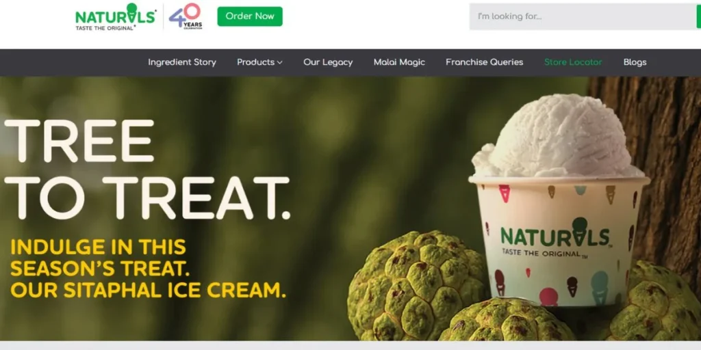Naturals Ice Cream - FOCO-Model Franchises