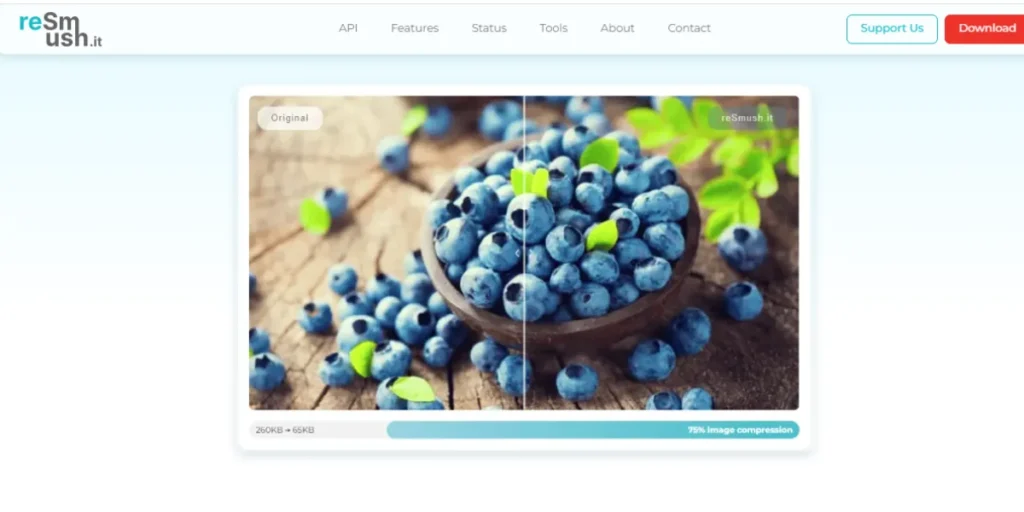 WordPress Image Optimisation Plugins
