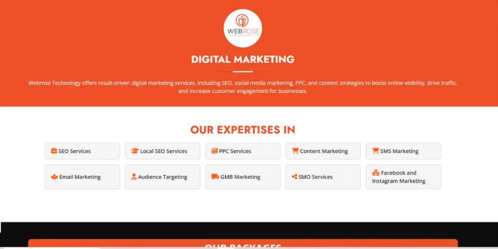 Webrose Technology Pvt Ltd - Web Development Companies in Bhubaneswar