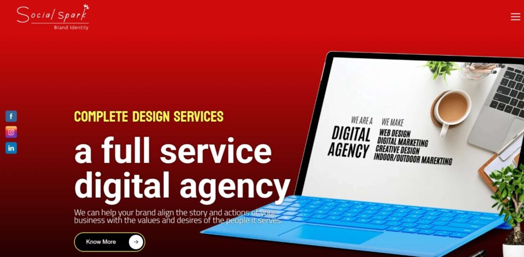 Digital Marketing Agencies in Raipur